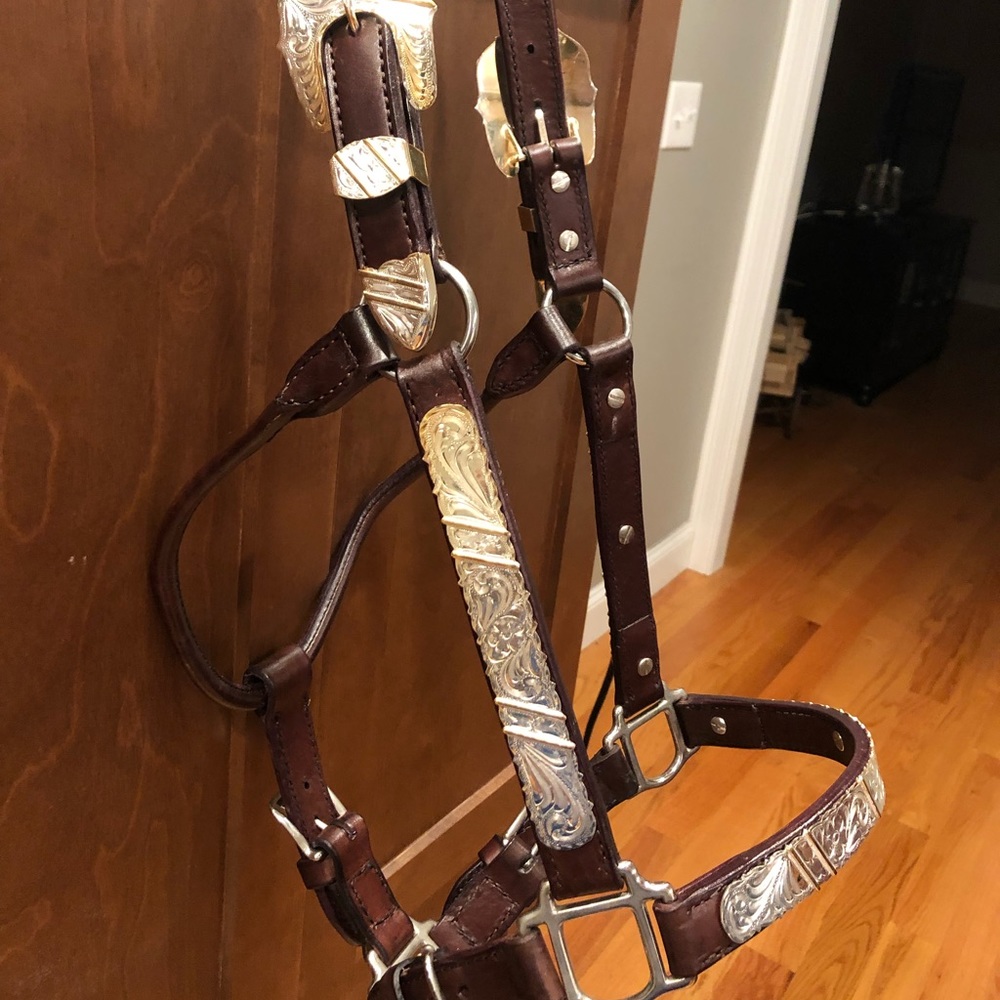 Beautiful 🤩Moran western show halter sterling silver 🐴